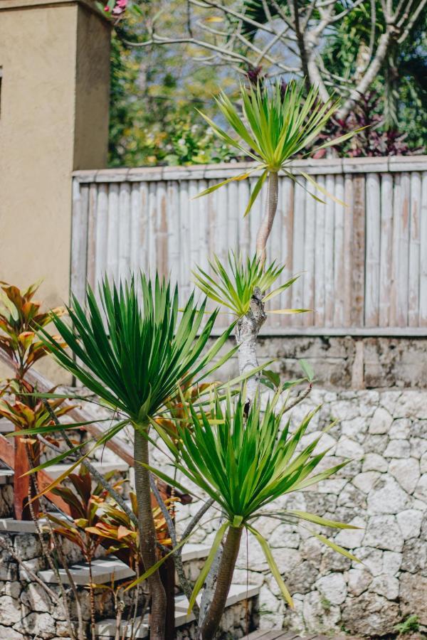 Shrining Cottages Lembongan Εξωτερικό φωτογραφία